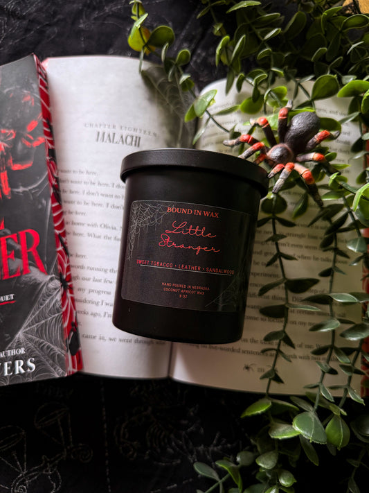 Little Stranger